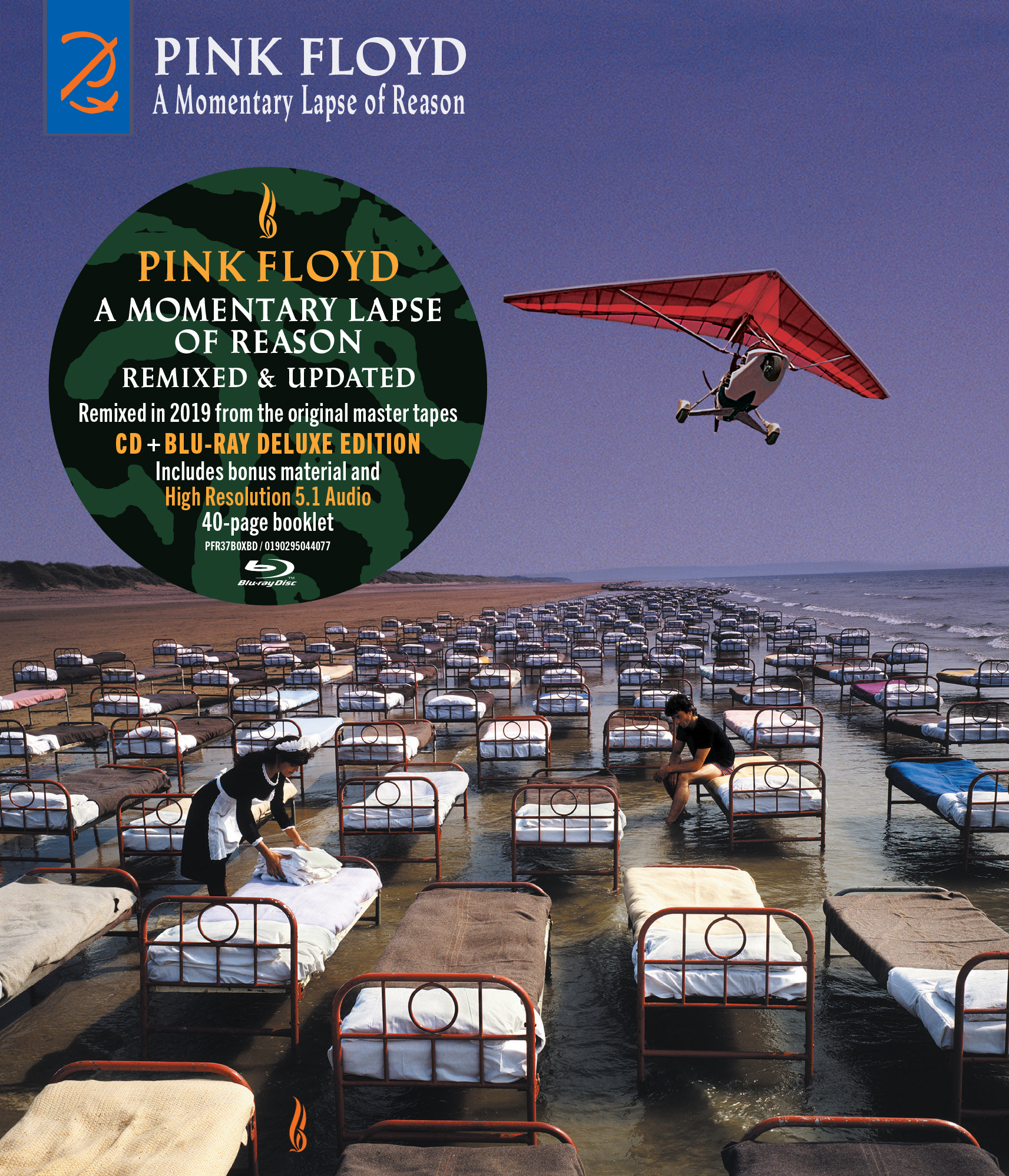 Pink Floyd - A Momentary Lapse Of Reason, Vinyl Album